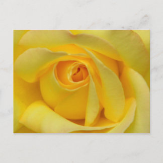 Cartão Postal Happiness_