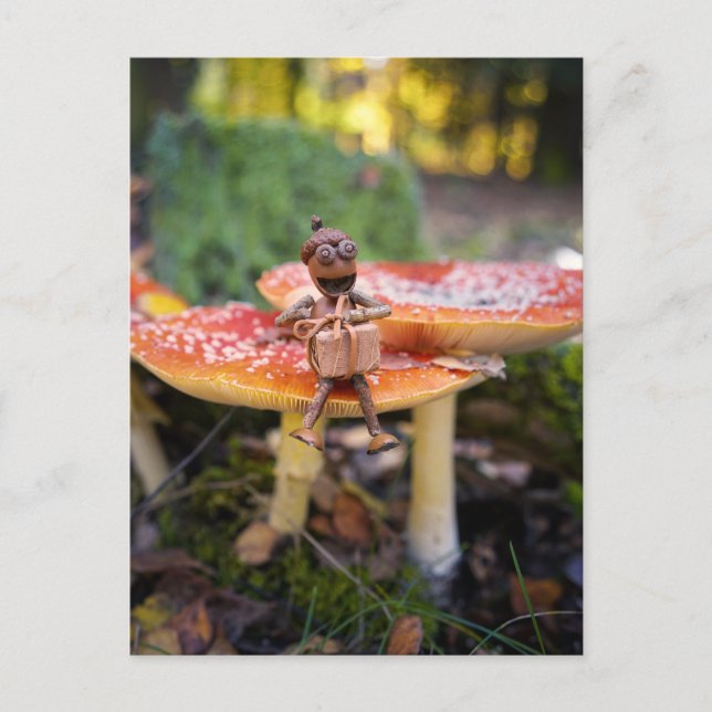 Cartão Postal Happy Acorn Elf Birthday Greeting Card (Frente)