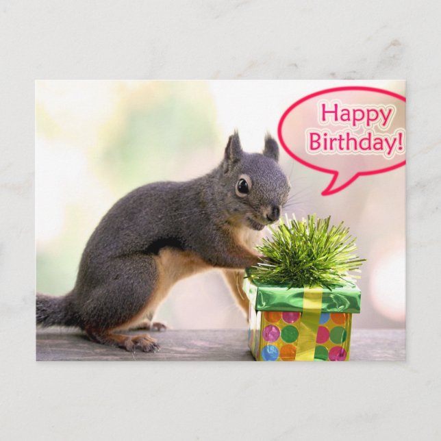 Cartão Postal Happy Birthday Squirrel (Frente)