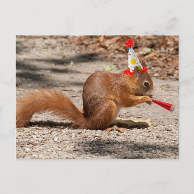Cartão Postal Happy Birthday Squirrel (Frente)