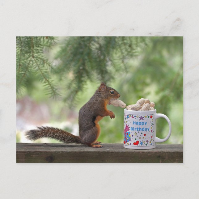 Cartão Postal Happy Birthday Squirrel (Frente)
