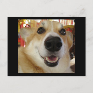 Cartão postal Happy Corgi