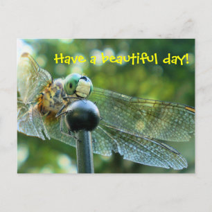 Cartão Postal Happy Dragonfly