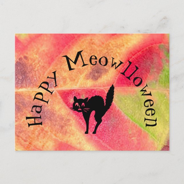 Cartão Postal Happy Halloween Cat Meow Postcard (Frente)