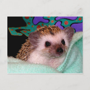 Cartão Postal Happy Hedgehog
