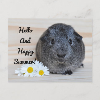 Cartão Postal Happy Summer Guiné Pig