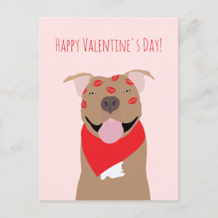 Cartão Postal Happy Valentines Day American Buldog Kiss Marks
