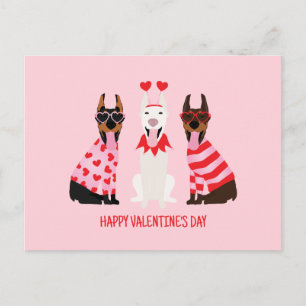 Cartão Postal Happy Valentines Day Dobermann Dogs