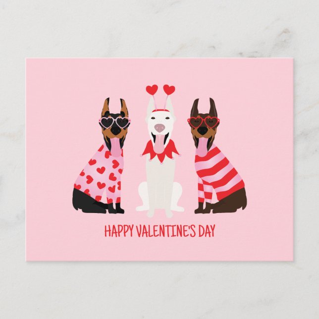 Cartão Postal Happy Valentines Day Dobermann Dogs (Frente)