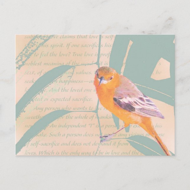 CARTÃO POSTAL HARBINGER DE PRIMAVERA (Frente)