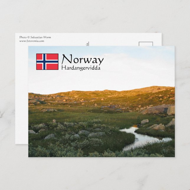 Cartão postal Hardangervidda Norway (Frente/Verso)