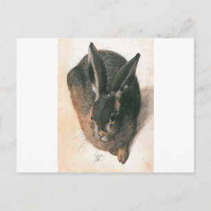 Cartão Postal Hare por Albrecht Durer