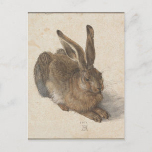 Cartão Postal Hare por Albrecht Durer