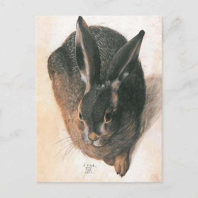 Cartão Postal Hare por Albrecht Durer (Frente)