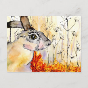 Cartão Postal Hare post card (a388)
