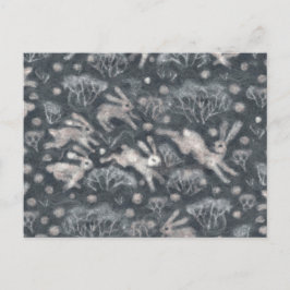 Cartão Postal Hares Snow Field White Rabbits Brancos Animais de