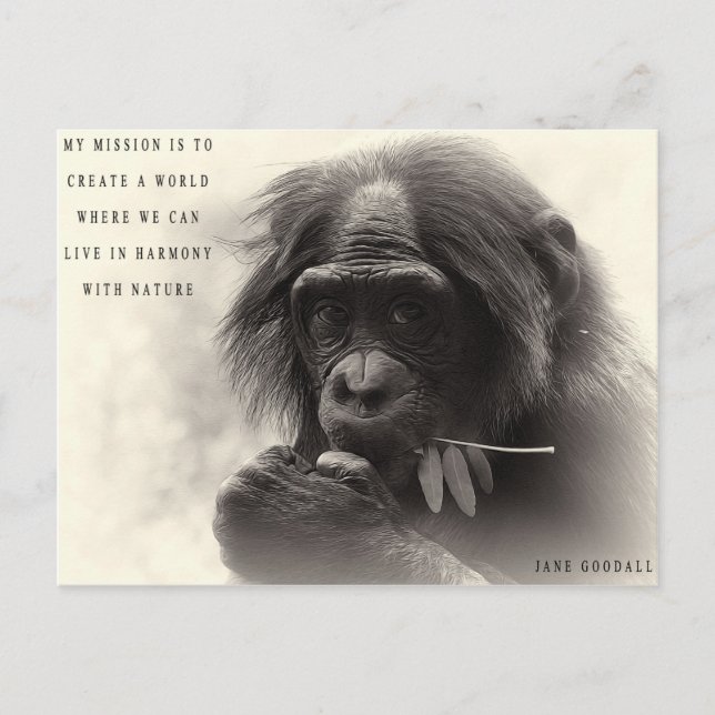 Cartão Postal Harmonia com a Natureza (Frente)