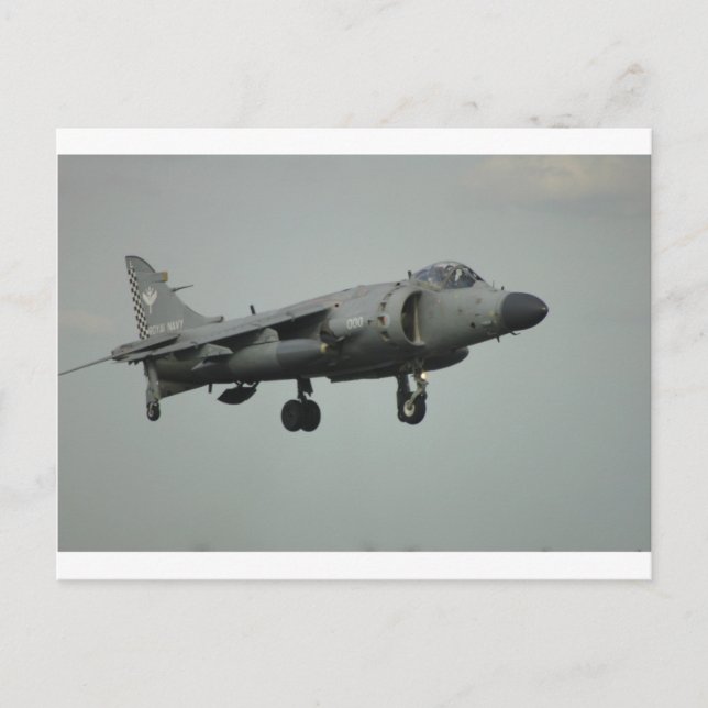 Cartão Postal Harrier (Frente)