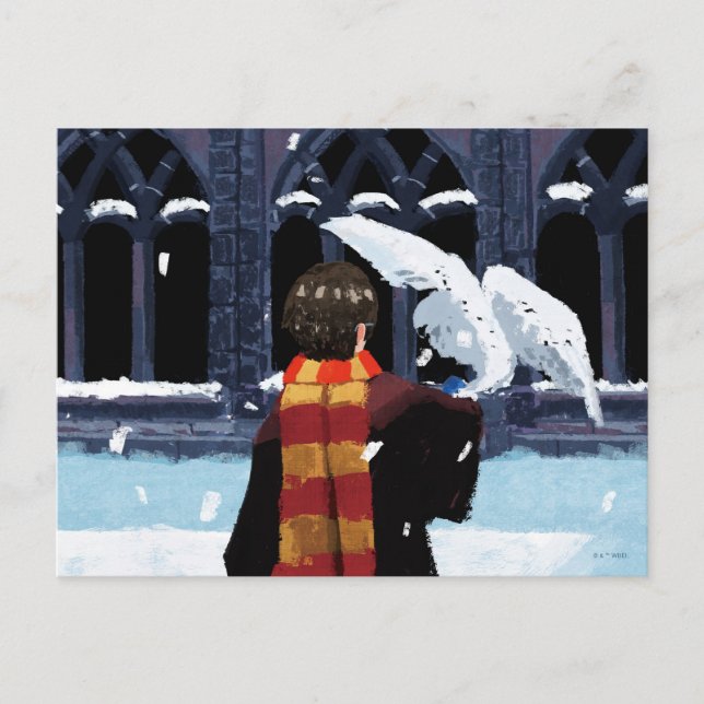 Cartão Postal HARRY POTTER™ & Hedwig na Neve (Frente)
