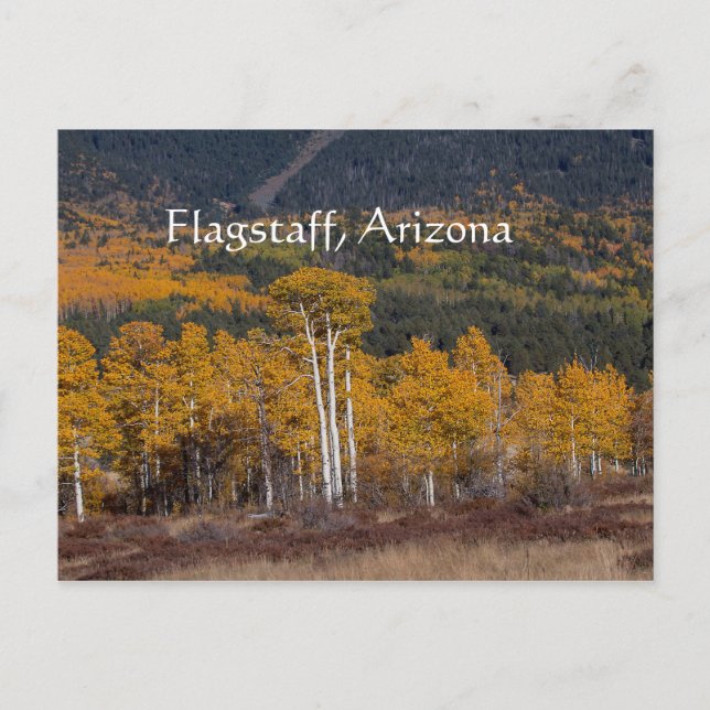 Cartão Postal Hart Prairie Flagstaff, Arizona (Frente)