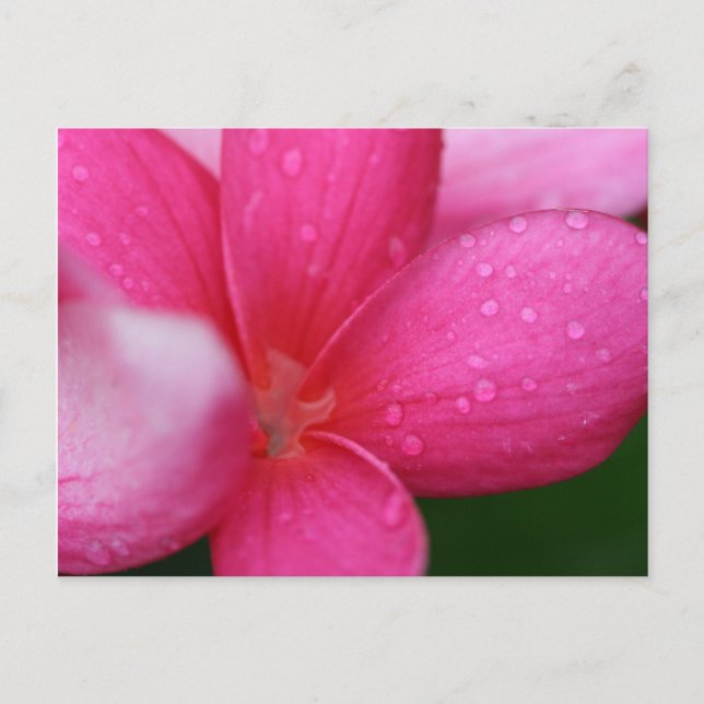 Cartão Postal Havaí (Frente)