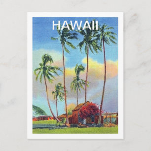 Cartão Postal Havaí, ilha trópica, casota velha com palmeiras