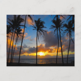Cartão Postal Havaí Sunrise