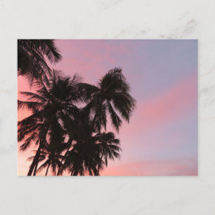 Cartão Postal Havaí Sunrise