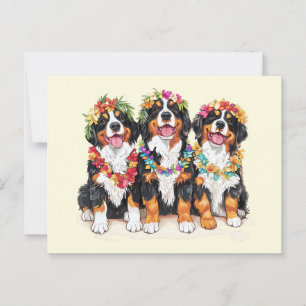 Cartão Postal Havaiano Bernese Mountain Dogs Flower Lei