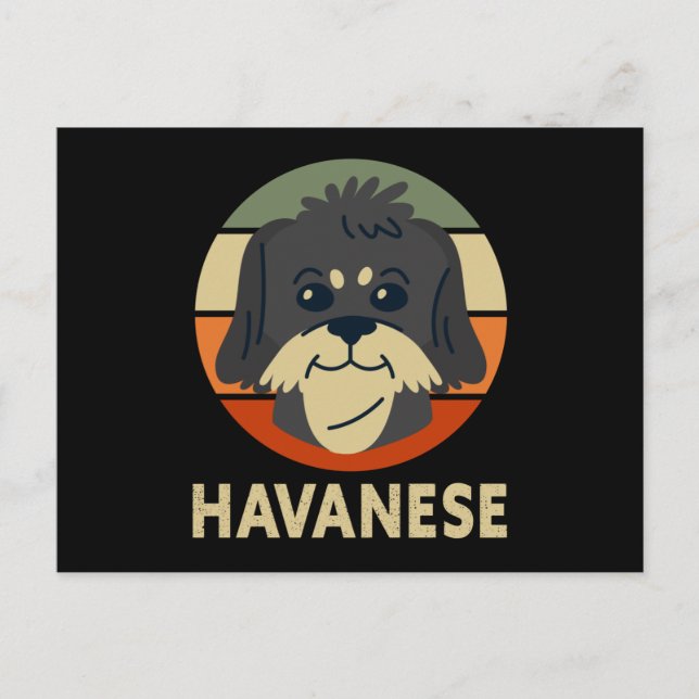Cartão Postal Havanese | Dog Owner Havaneses (Frente)