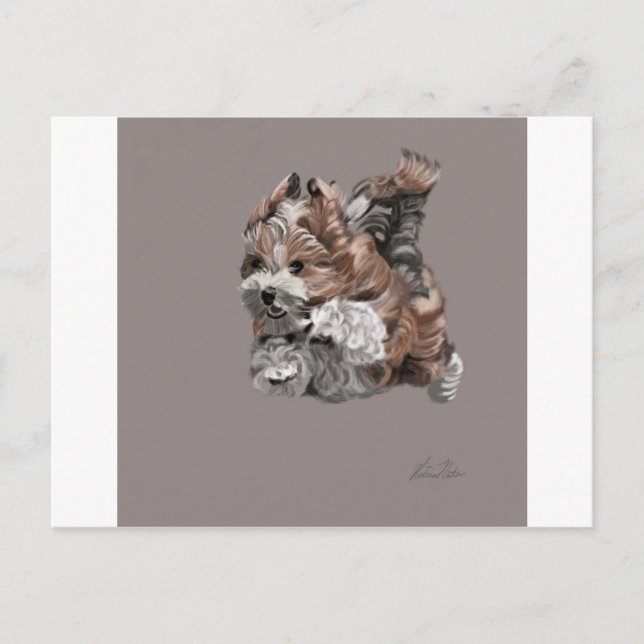 Cartão Postal Havanese Puppy (Frente)