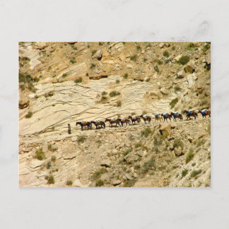 Cartão Postal Havasu Canyon Pack