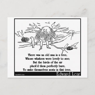 Cartão Postal Havia um velho numa árvore