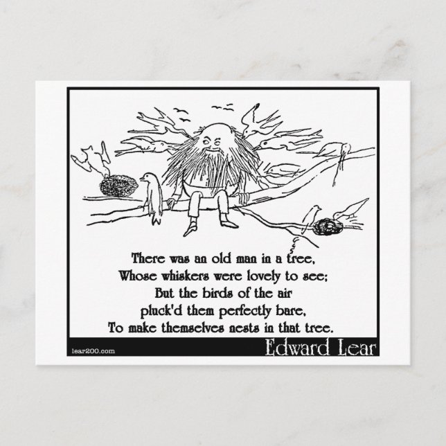Cartão Postal Havia um velho numa árvore (Frente)