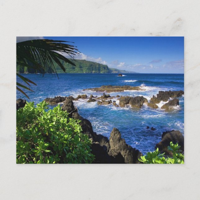 Cartão Postal Hawaii Beach Scenery (Frente)
