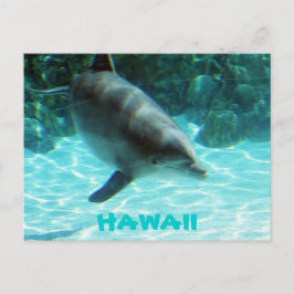 Cartão Postal Hawaii Dolphin