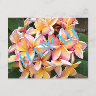 Cartão Postal Hawaii Flowers para todos