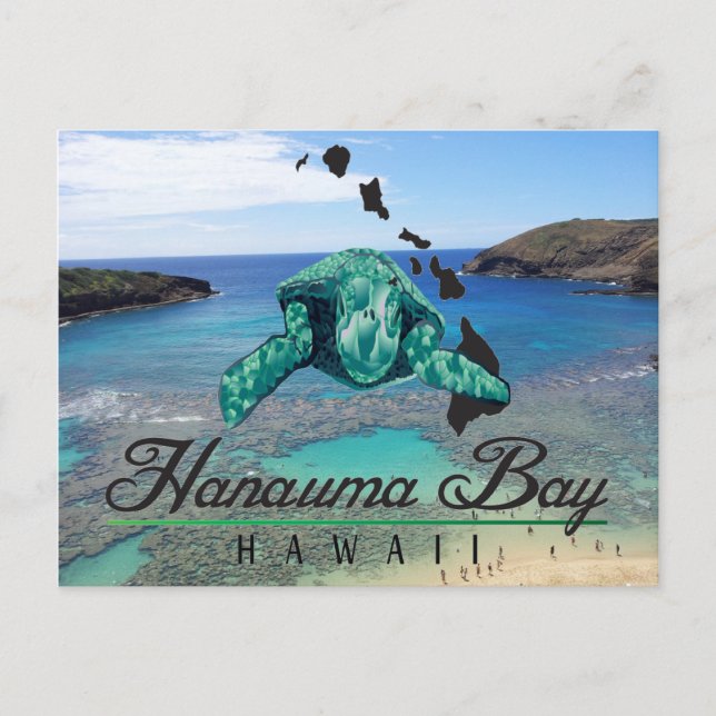 Cartão Postal Hawaii Hanauma Bay Turtle - Honu (Frente)