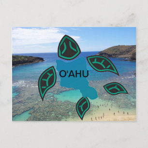 Cartão Postal Hawaii Oahu Island Turtle