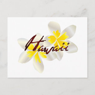 Cartão Postal Hawaii Plumeria Flowers