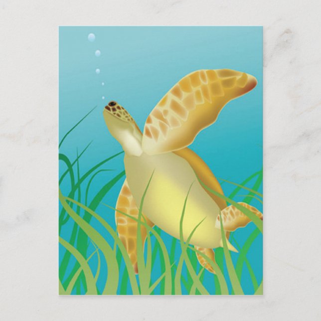 Cartão Postal Hawaii Turtle (Frente)