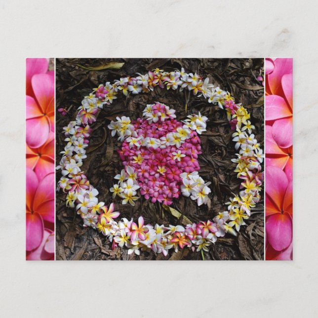 Cartão Postal Hawaii Turtle Honu Plumeria Summer Flower Paradise (Frente)