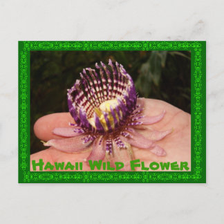 Cartão Postal Hawaii Wild Flower