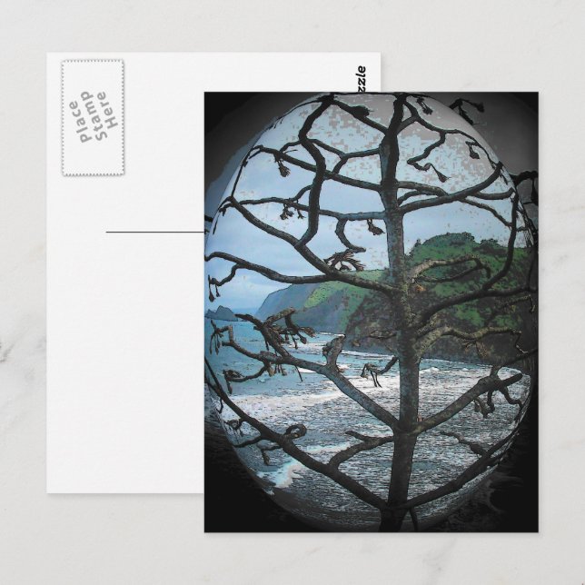 Cartão Postal Hawaiian Ocean Beach Tree Photo Spotlight (Frente/Verso)