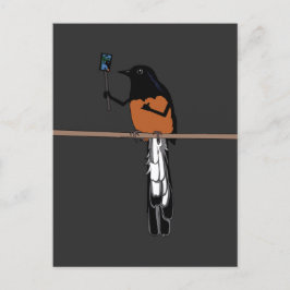 Cartão Postal Hawaiian Shama Bird Selfie