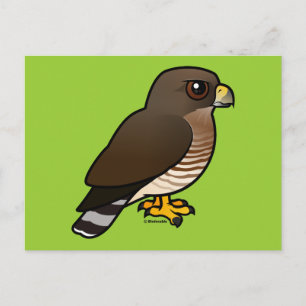 Cartão Postal Hawk de asa larga