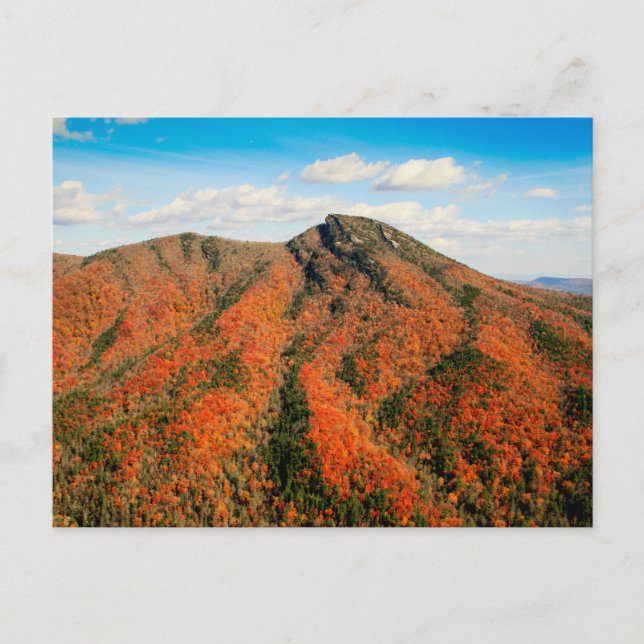 Cartão Postal Hawksbill Mountain, Linville Gorge, North Carolina (Frente)