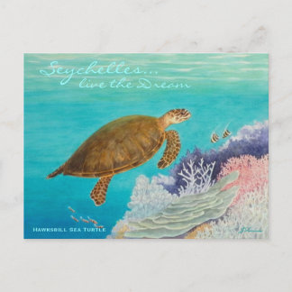 Cartão Postal Hawksbill Sea Turtle