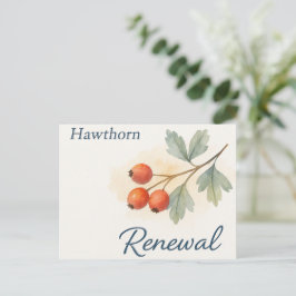 Cartão Postal Hawthorn — Renewal