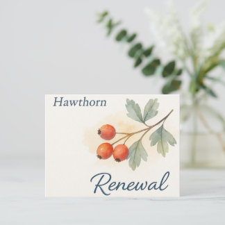 Cartão Postal Hawthorn — Renewal
